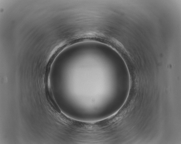 X0000074291218200609011358