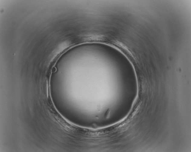 X0000074291219200609011358