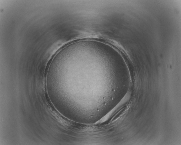 X0000074291220200609011358