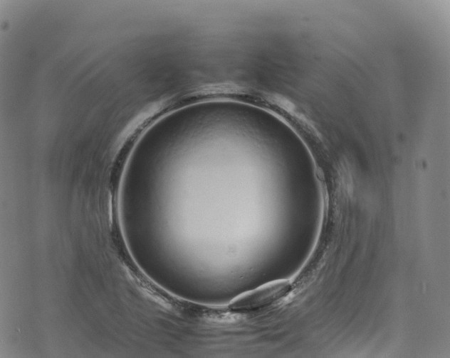 X0000074291221200609011358