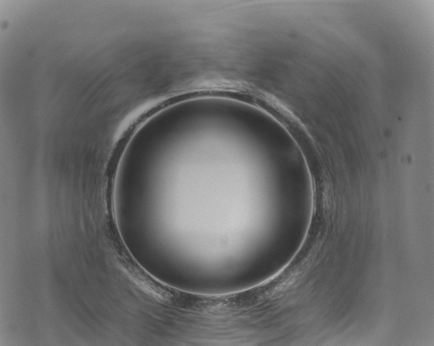 X0000074291222200609011358