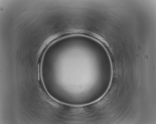 X0000074291223200609011359