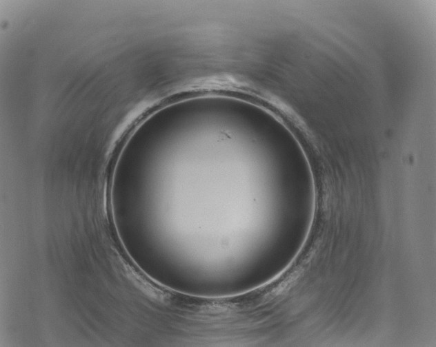 X0000074291224200609011359