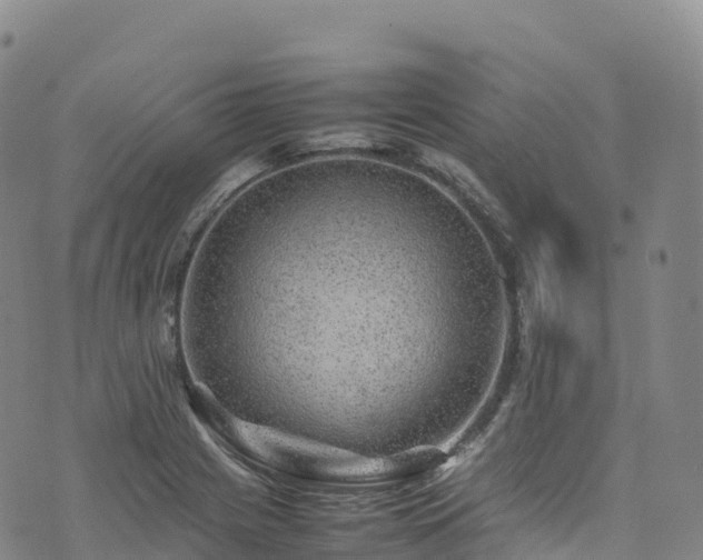 X0000074291225200609011359