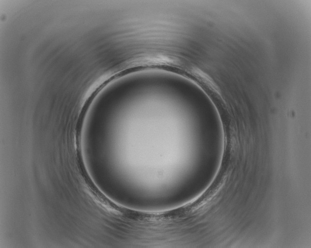 X0000074291226200609011359