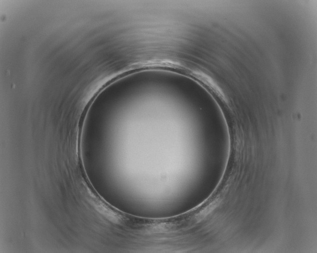 X0000074291228200609011359