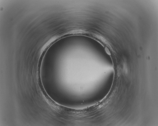 X0000074291229200609011359