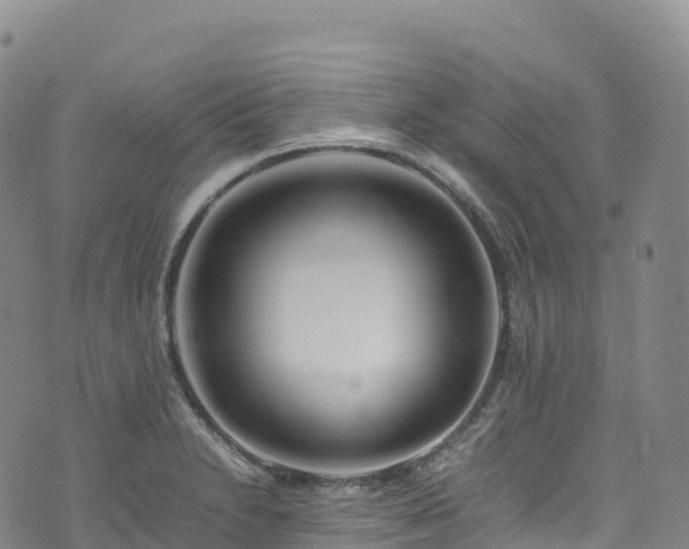 X0000074291230200609011359