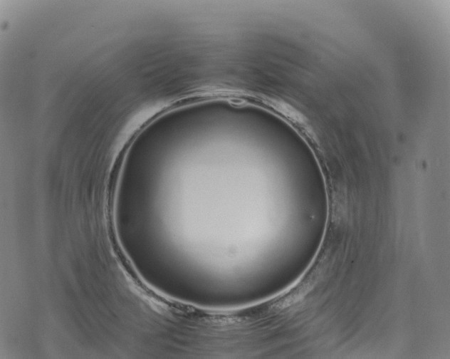 X0000074291231200609011359