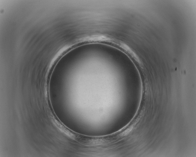 X0000074291232200609011359