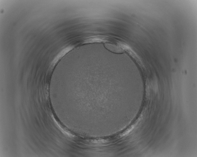 X0000074291233200609011359