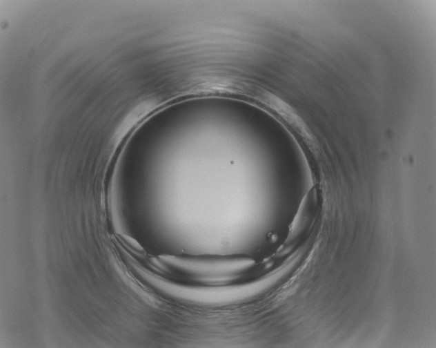 X0000074291234200609011359