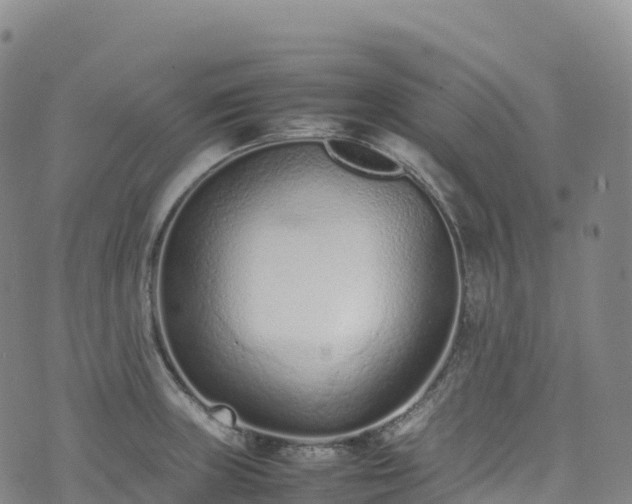 X0000074291235200609011359