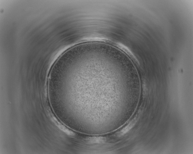 X0000074291236200609011359