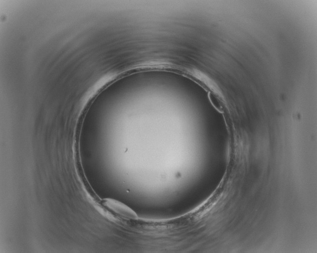 X0000074291237200609011359