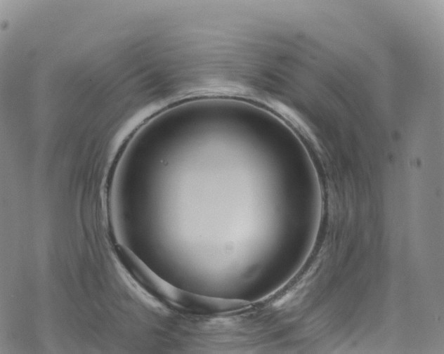 X0000074291238200609011359