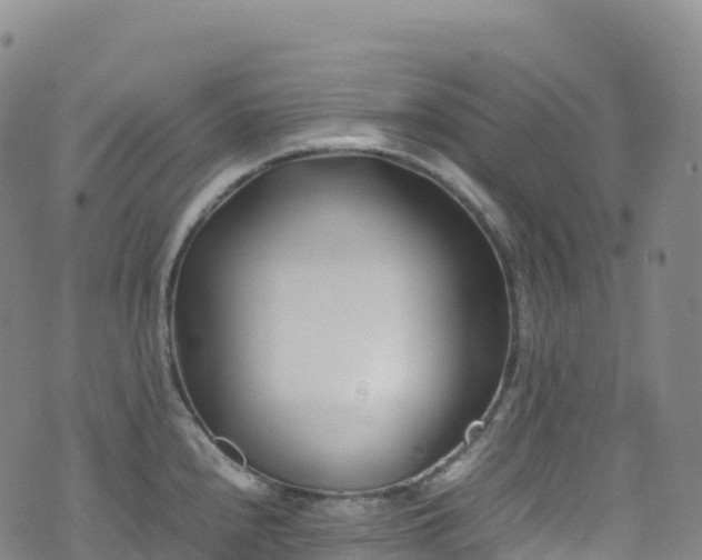 X0000074291240200609011359