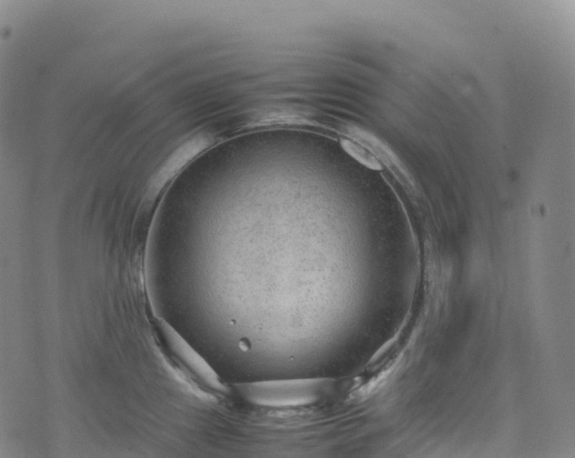 X0000074291241200609011359