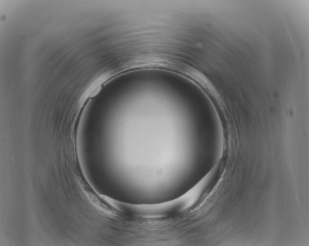 X0000074291242200609011359