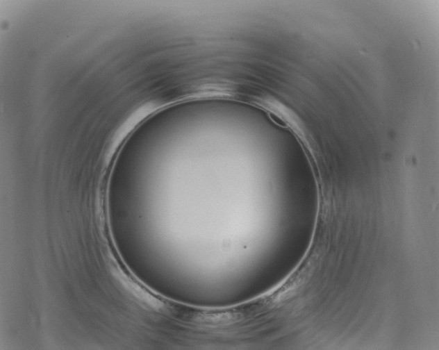 X0000074291243200609011359