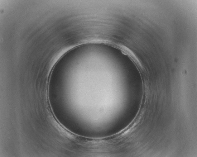 X0000074291244200609011359