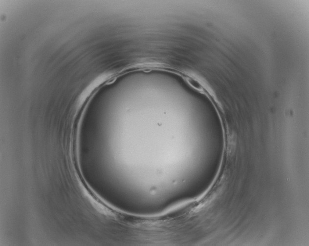 X0000074291245200609011359