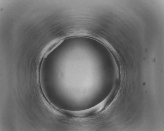 X0000074291246200609011359