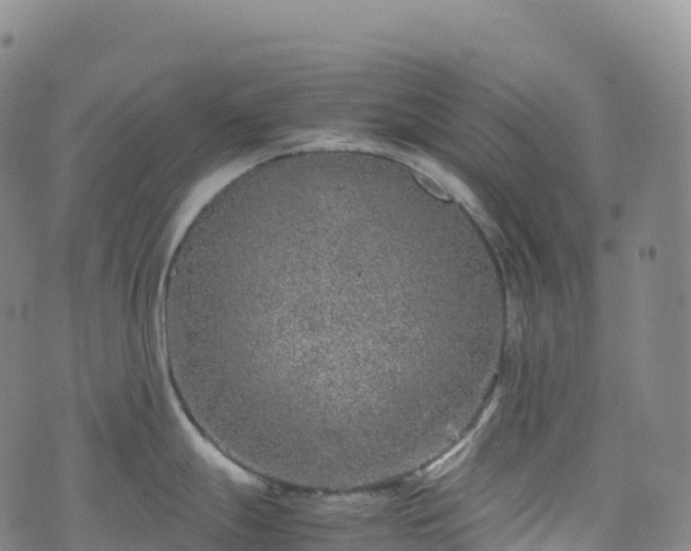 X0000074291247200609011359