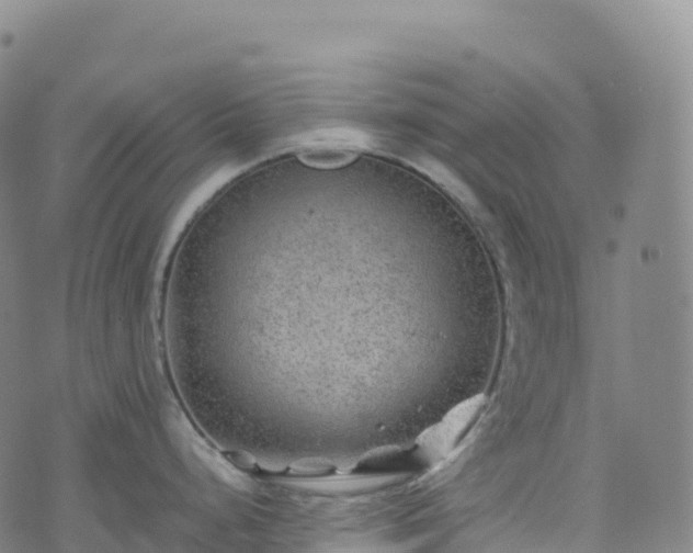 X0000074291248200609011359