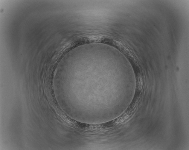 X0000074291249200609011358