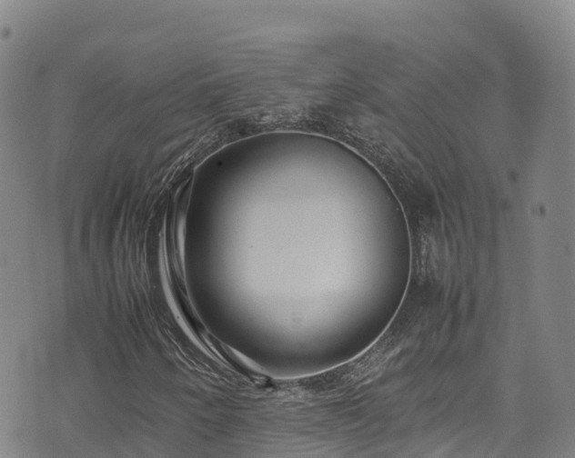 X0000074291250200609011358