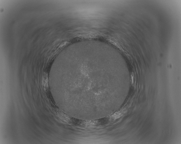 X0000074291251200609011358