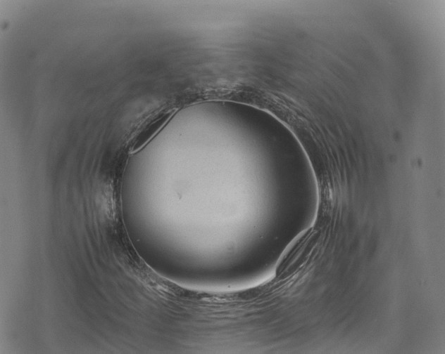 X0000074291252200609011358