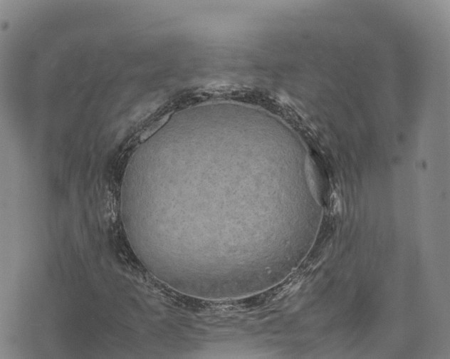 X0000074291253200609011358