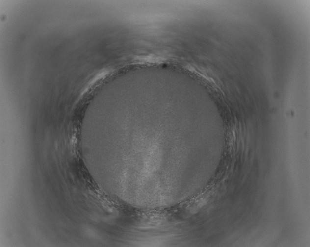 X0000074291254200609011358