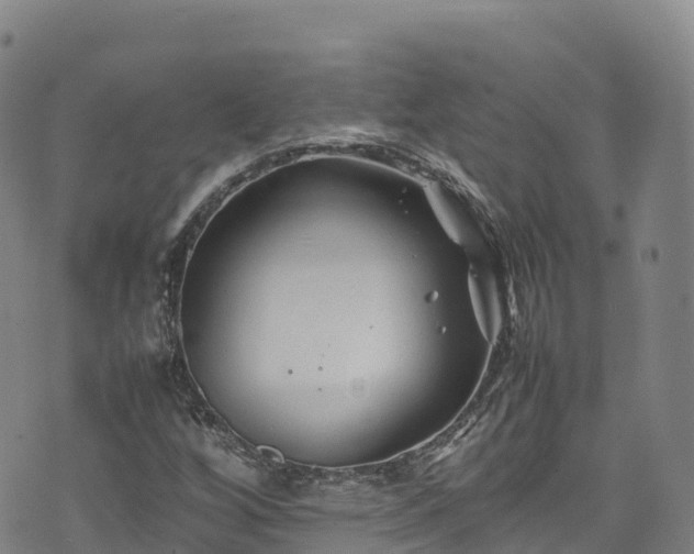 X0000074291256200609011358