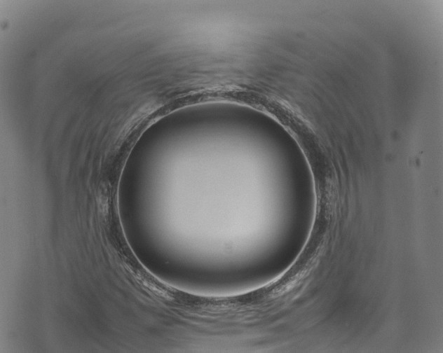 X0000074291257200609011358