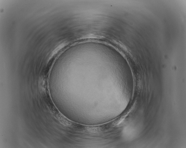 X0000074291258200609011358