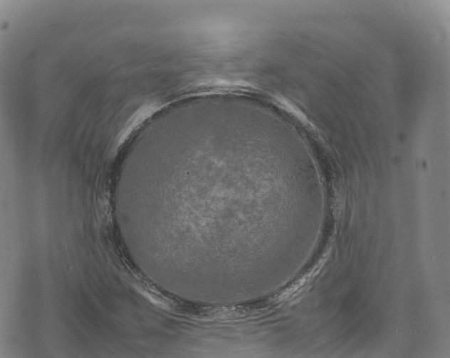 X0000074291259200609011358