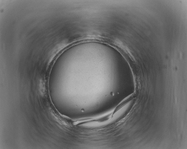 X0000074291260200609011358