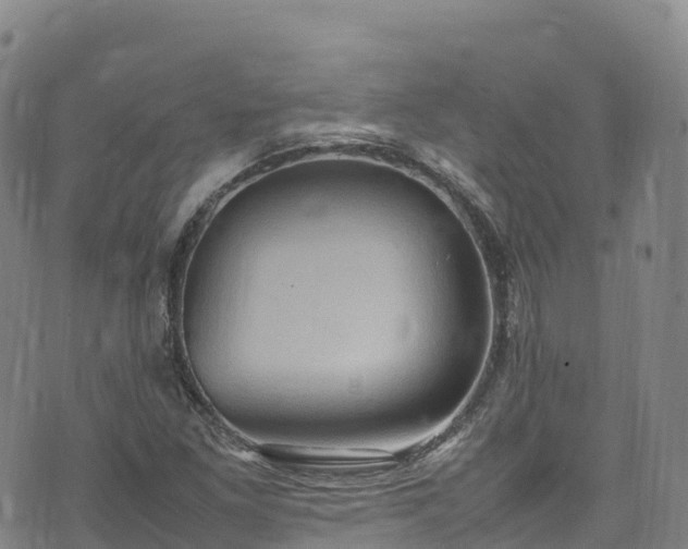 X0000074291261200609011358