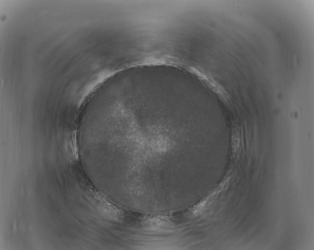 X0000074291262200609011358