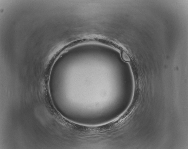 X0000074291263200609011358