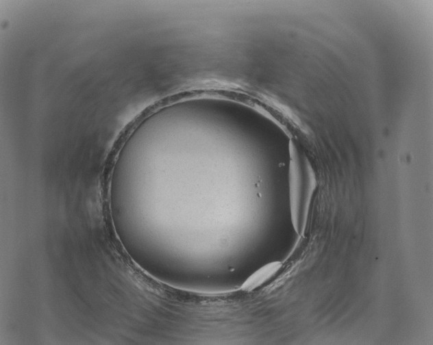 X0000074291264200609011358