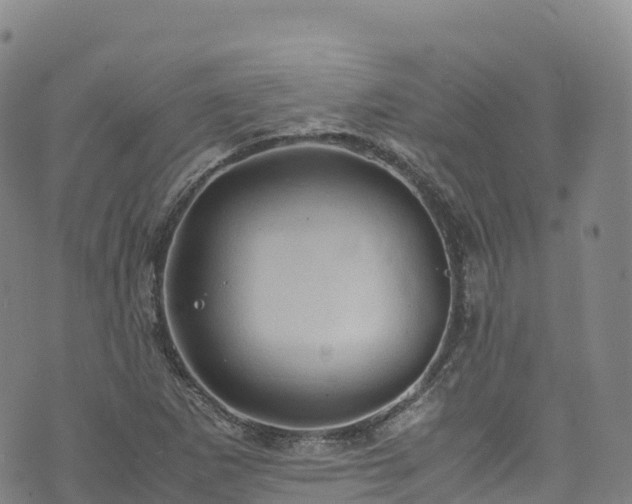 X0000074291265200609011358