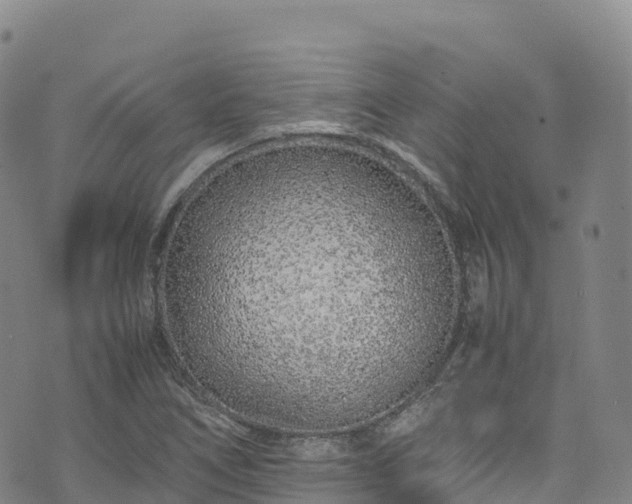 X0000074291266200609011358