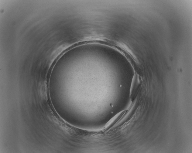 X0000074291268200609011358