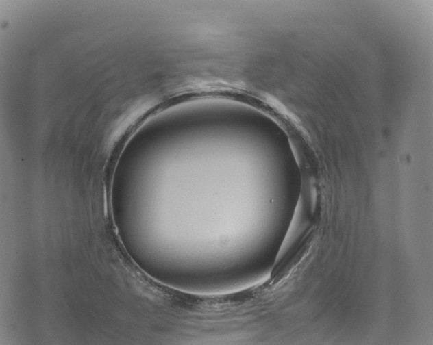 X0000074291269200609011358