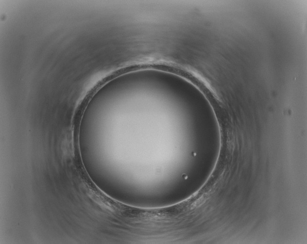 X0000074291270200609011358