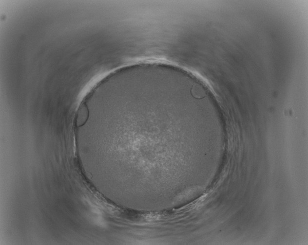 X0000074291271200609011358